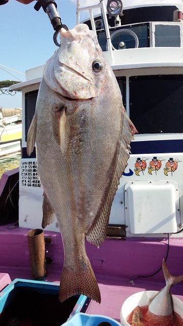 ���i�C���[�W